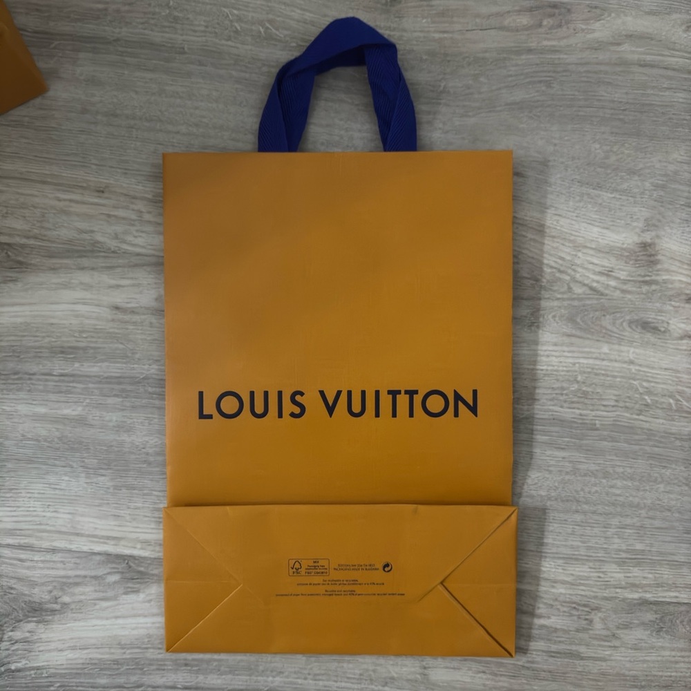 Medium Louis Vuitton gift bag. AUTHENTIC.
